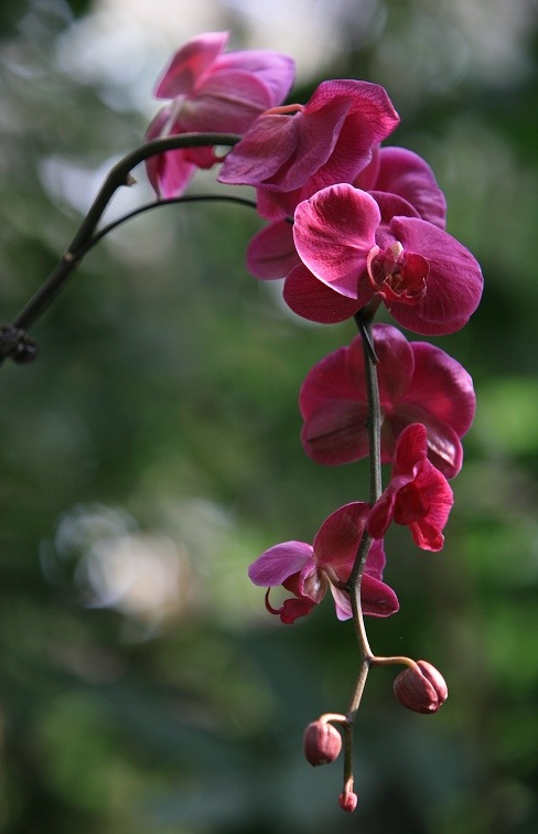img_443711.jpg