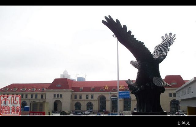 100_5772.jpg