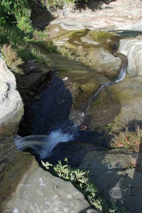 01090944.jpg