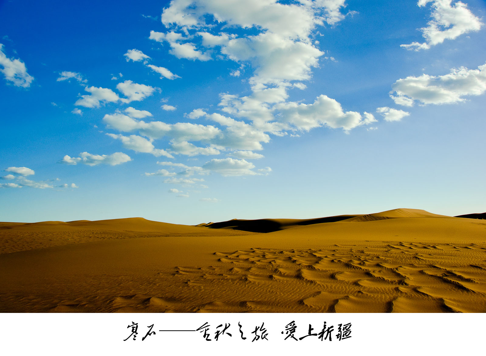 dsc02495.jpg