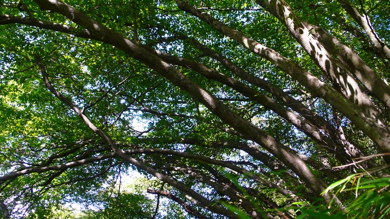 p1040166.jpg