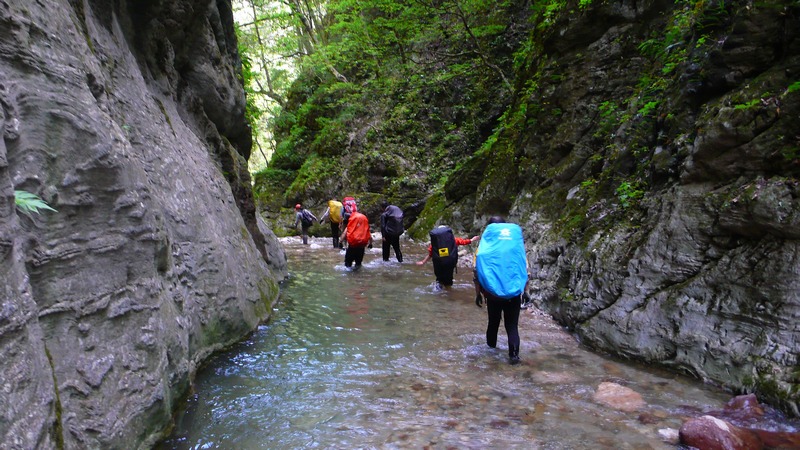 p1040349.jpg