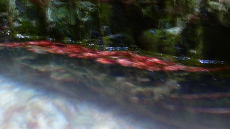 p1040352.jpg