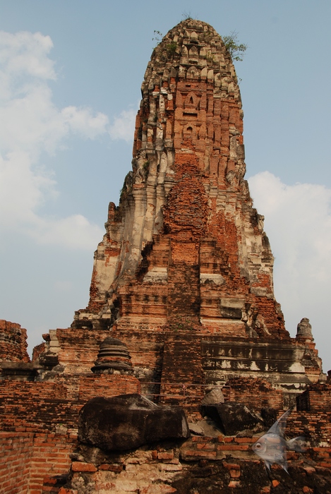 02011405.jpg