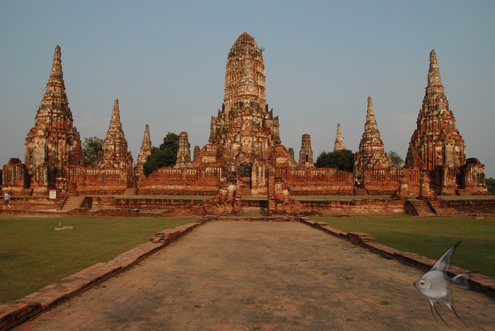 02011504.jpg