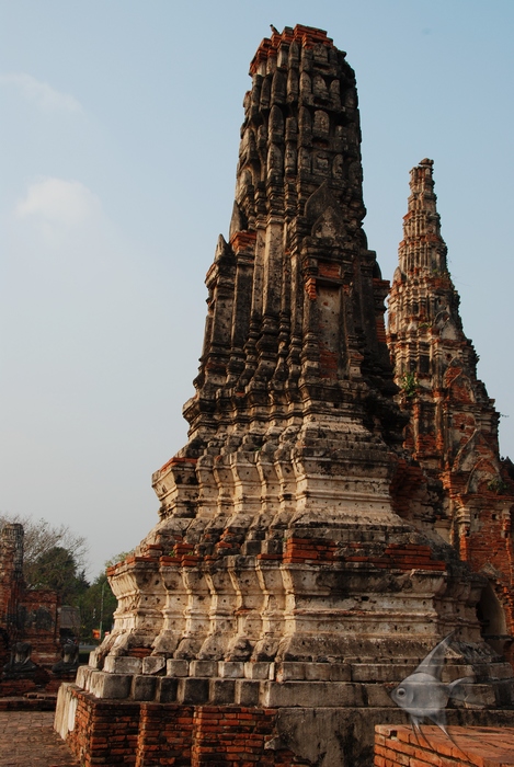 02011521.jpg