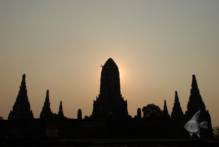 02011544.jpg