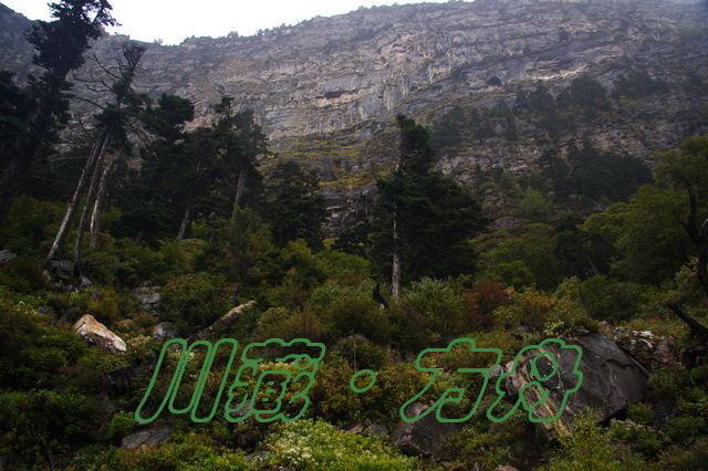 ī3.jpg