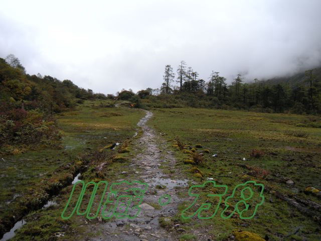 ī13.jpg