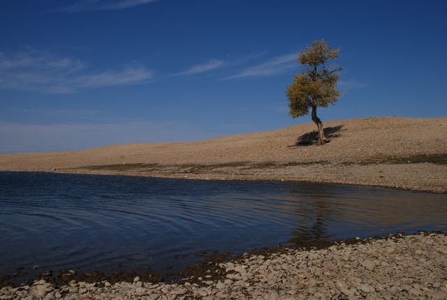 dsc_0381.jpg