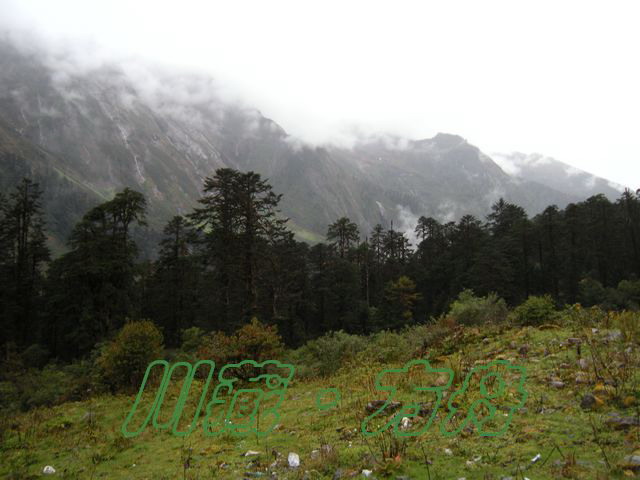 ī21.jpg