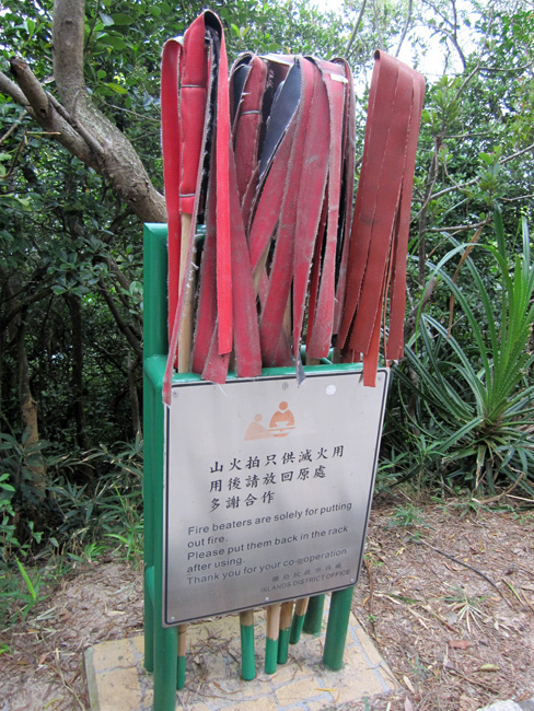 2010.10 241.jpg