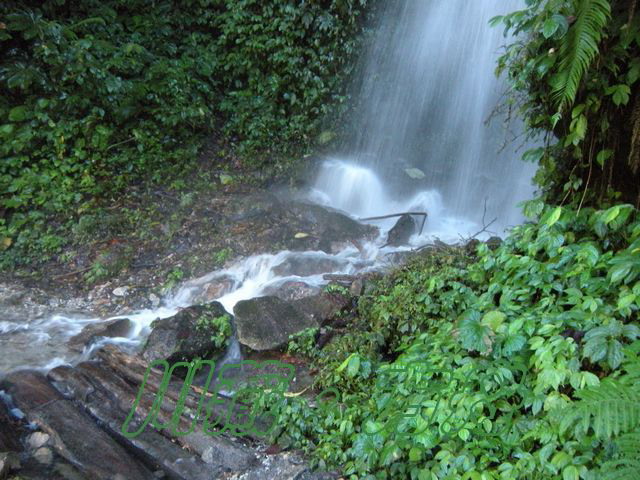 ī55.jpg