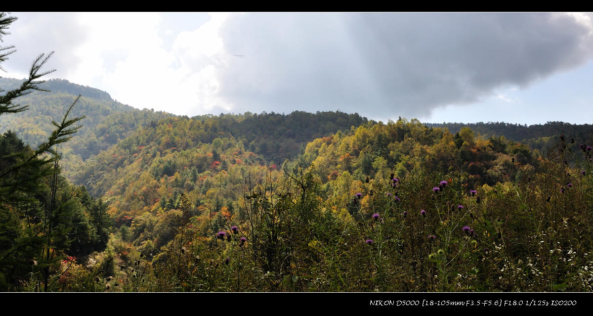 dsc_1220.jpg