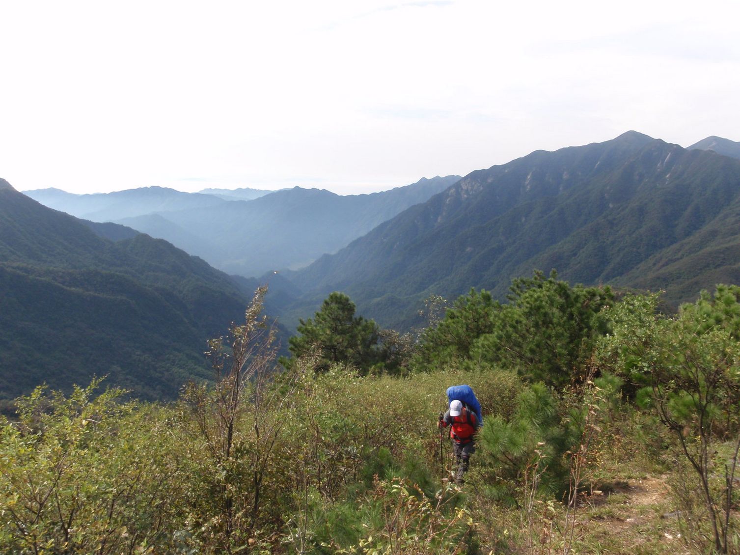 pa160534.jpg