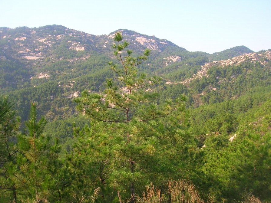 dscn4312.jpg
