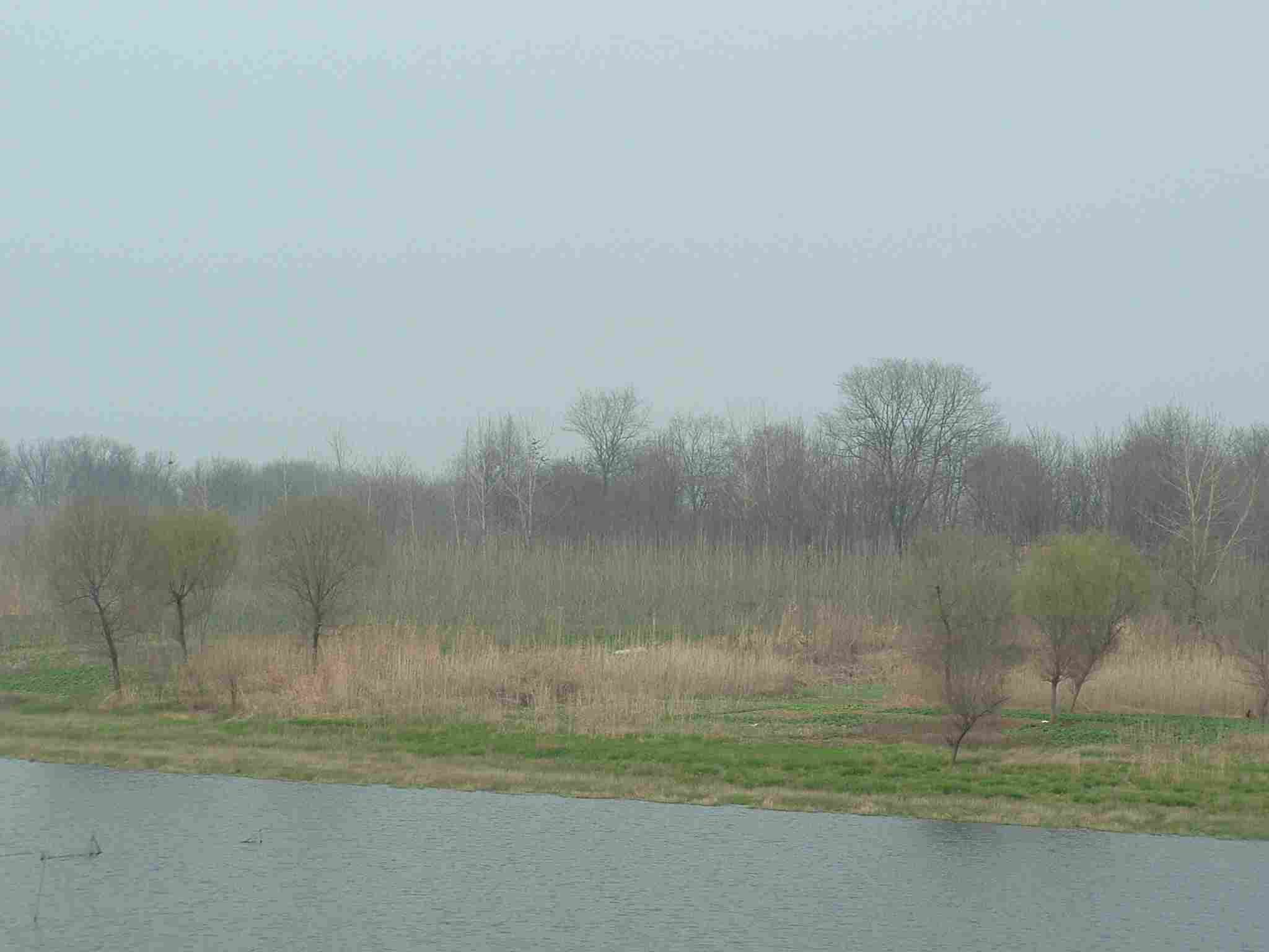 dscf0193.jpg