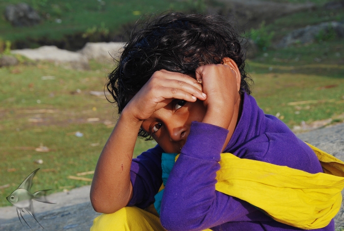 01050722.jpg