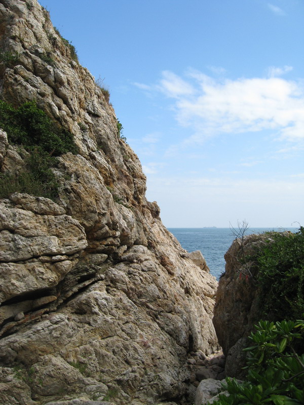 img_8460_СС.jpg