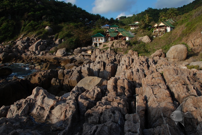 02180751.jpg