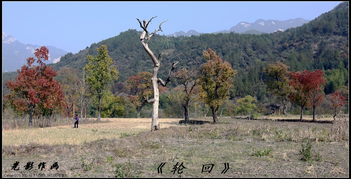 03a.jpg