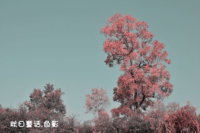 dsc_3604_.jpg