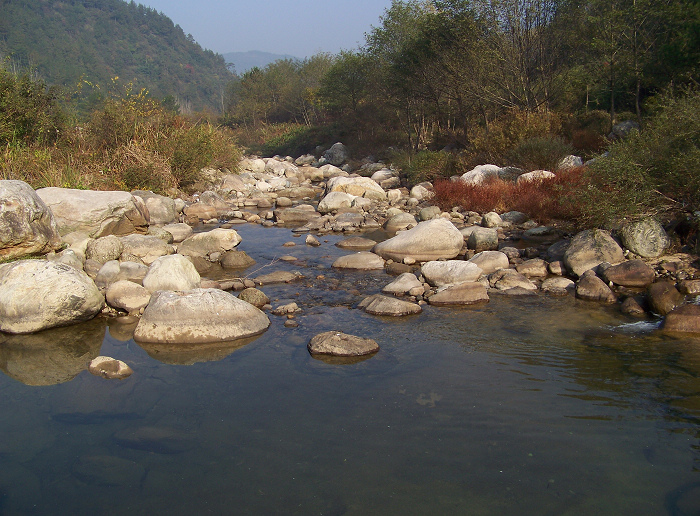 20101106eʥ (48).jpg