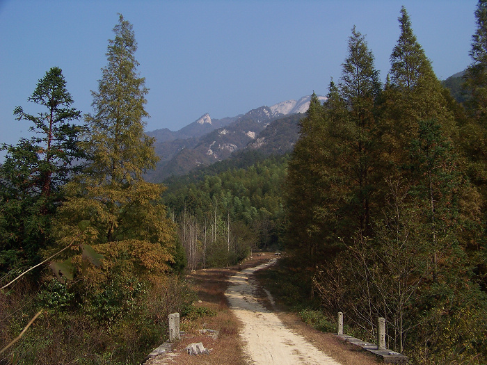 20101106gկ乵-  (11).jpg