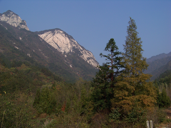 20101106gկ乵- (12).jpg