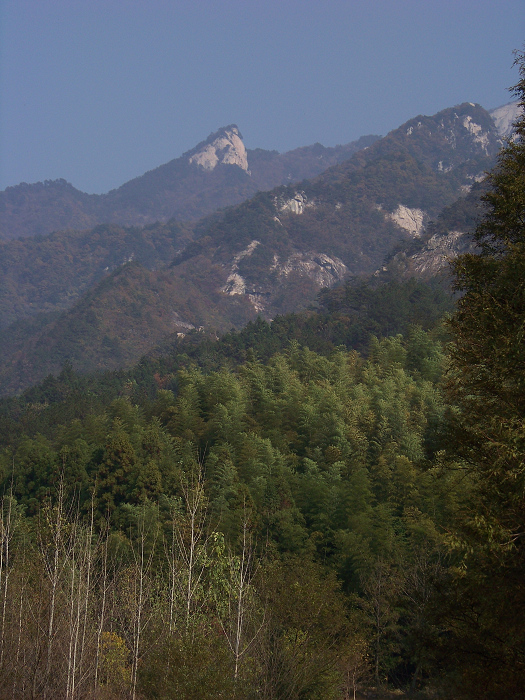 20101106gկ乵- (14).jpg