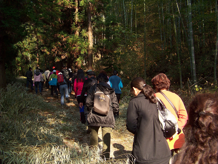 20101106gկ乵- (16).jpg