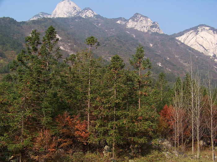20101106gկ乵- (15).jpg