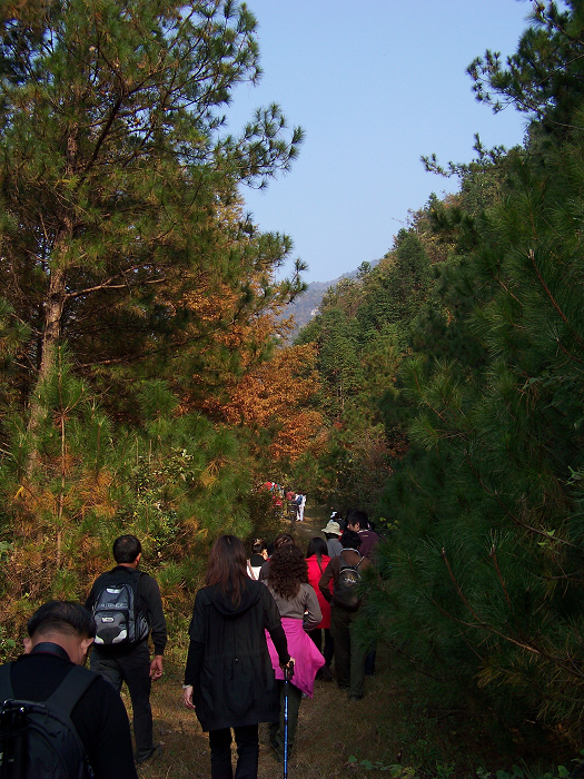 20101106gկ乵- (18).jpg
