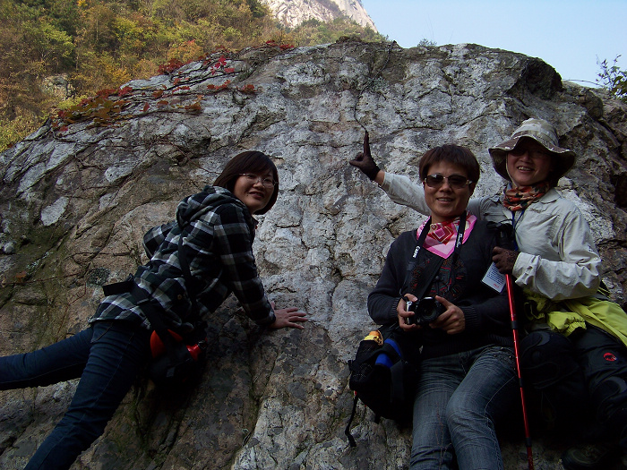 20101106gկ乵- (21).jpg