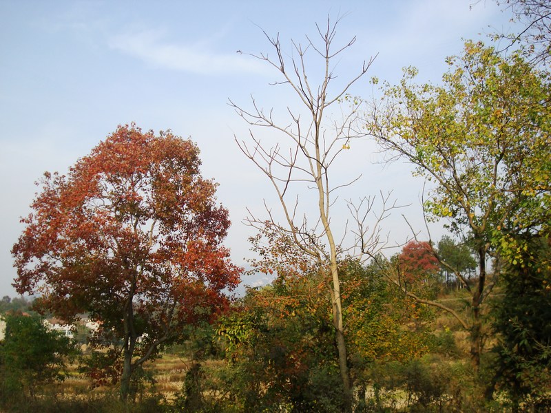 neo_img_dsc04382.jpg