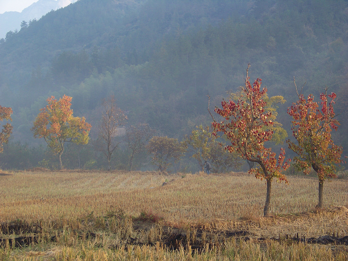 20101107dʺ԰峿 (37).jpg