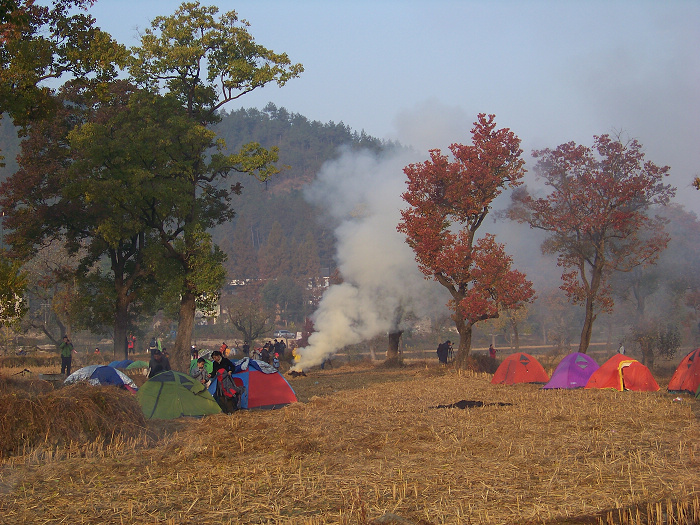20101107dʺ԰峿 (39).jpg