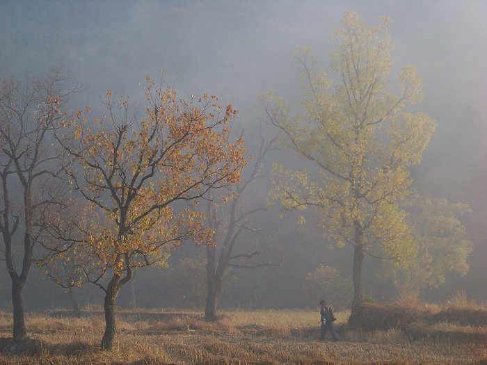 20101107dʺ԰峿 (41).jpg