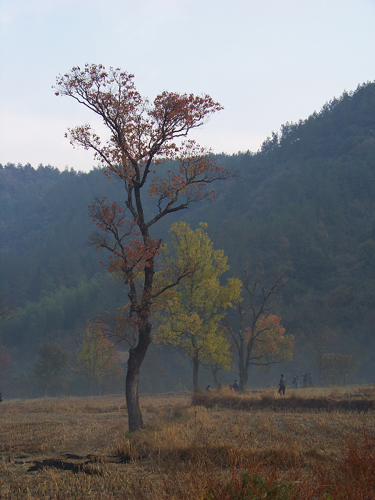 20101107dʺ԰峿 (26).jpg