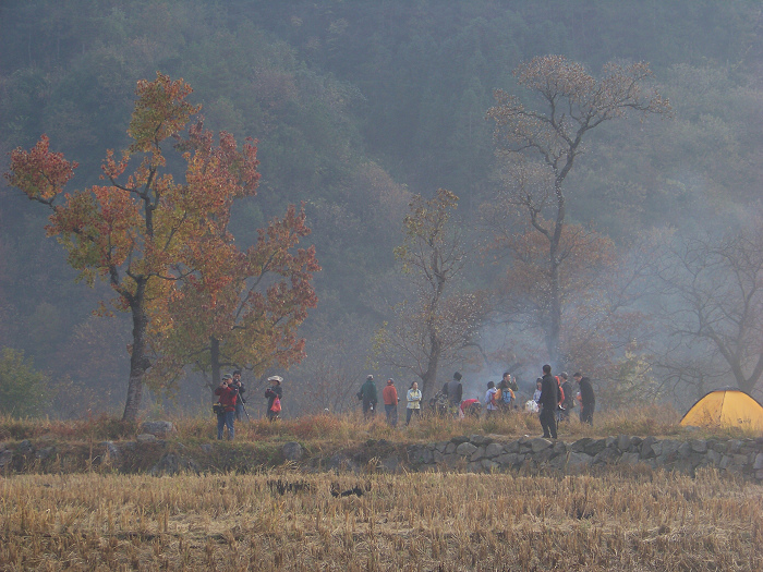 20101107dʺ԰峿 (29).jpg