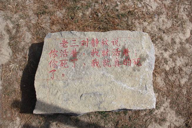 图片11.jpg
