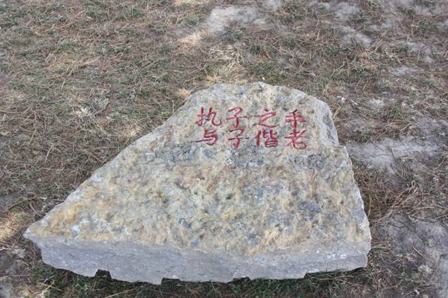 图片12.jpg