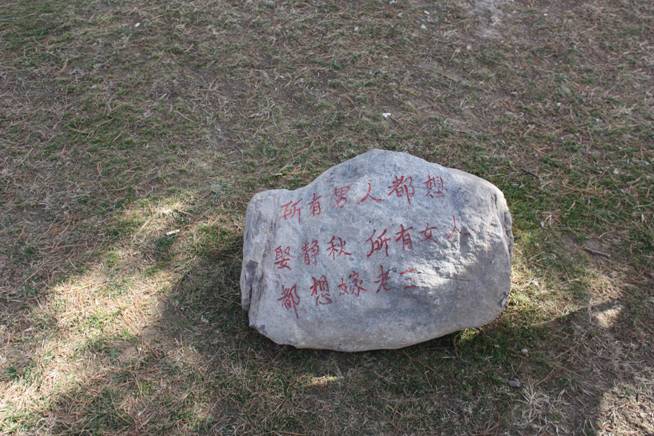 图片16.jpg