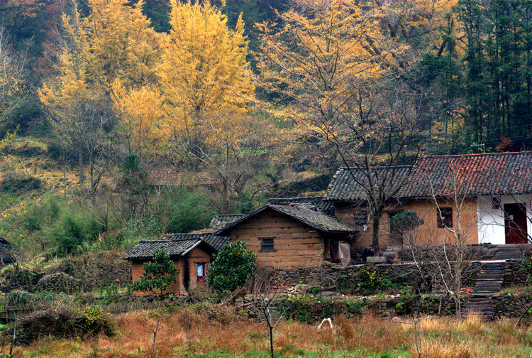 sg103021-1-8.jpg