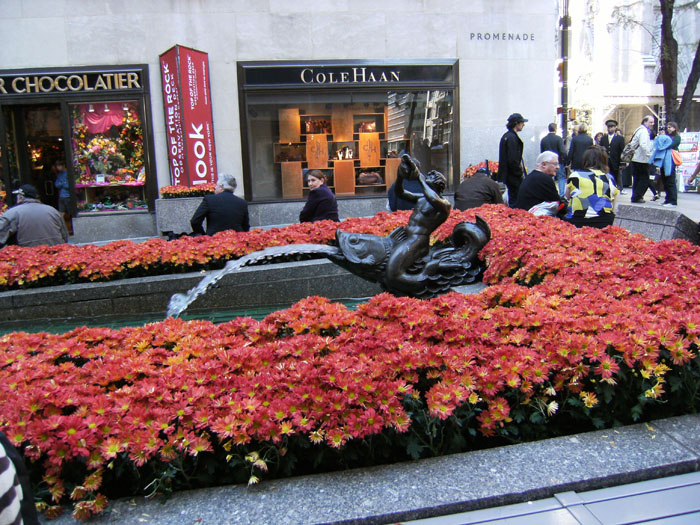 dscf1735.jpg