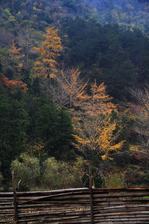 2010111301.jpg