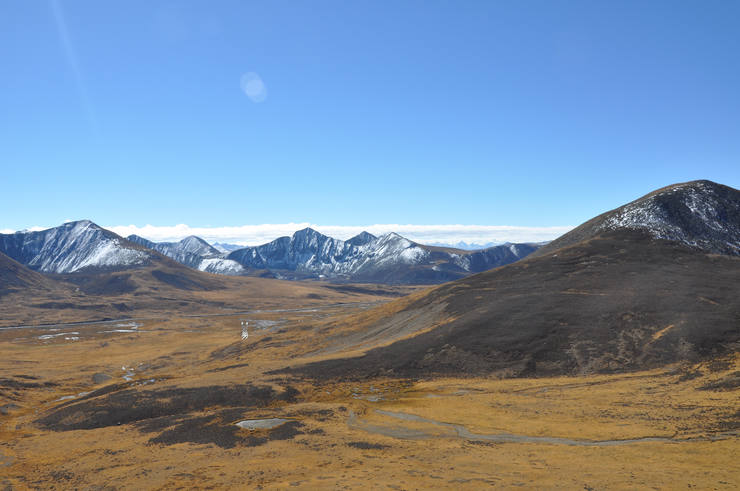 dsc_0083.jpg