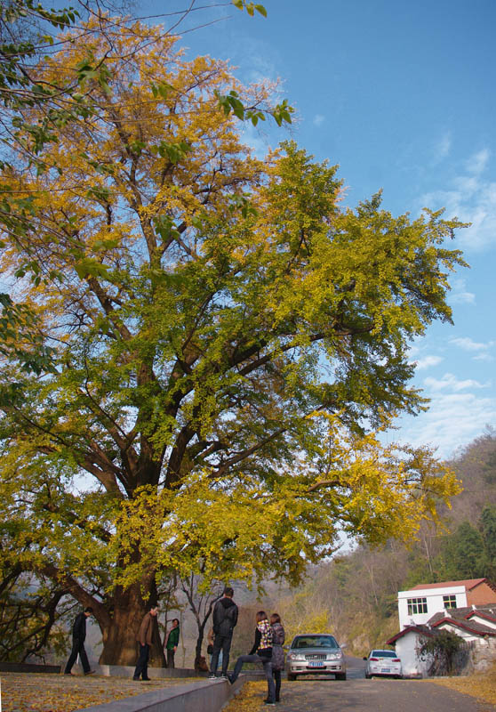 imgp9603-1.jpg