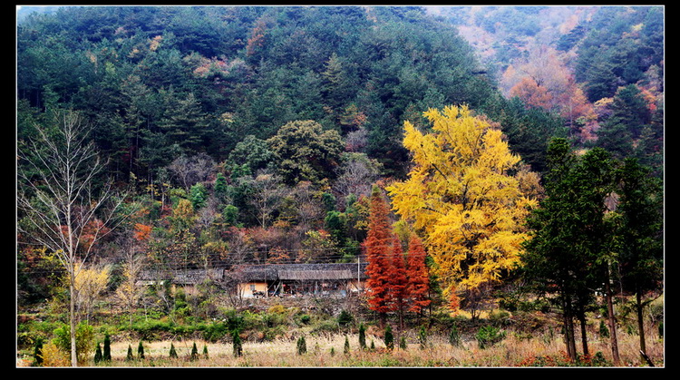 2010111403.jpg
