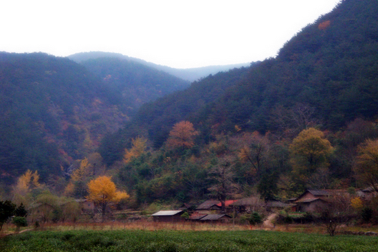 dsc01196.jpg